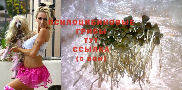 винт Новодвинск