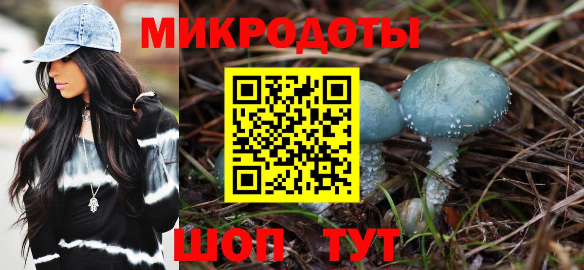 Псилоцибиновые грибы GOLDEN TEACHER Анапа